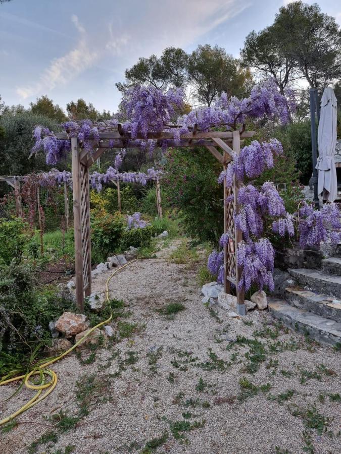 Bed and Breakfast Mas D'Azur Roquefort-les-Pins Exterior foto